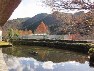 20111204Í`̗뉀1.JPG